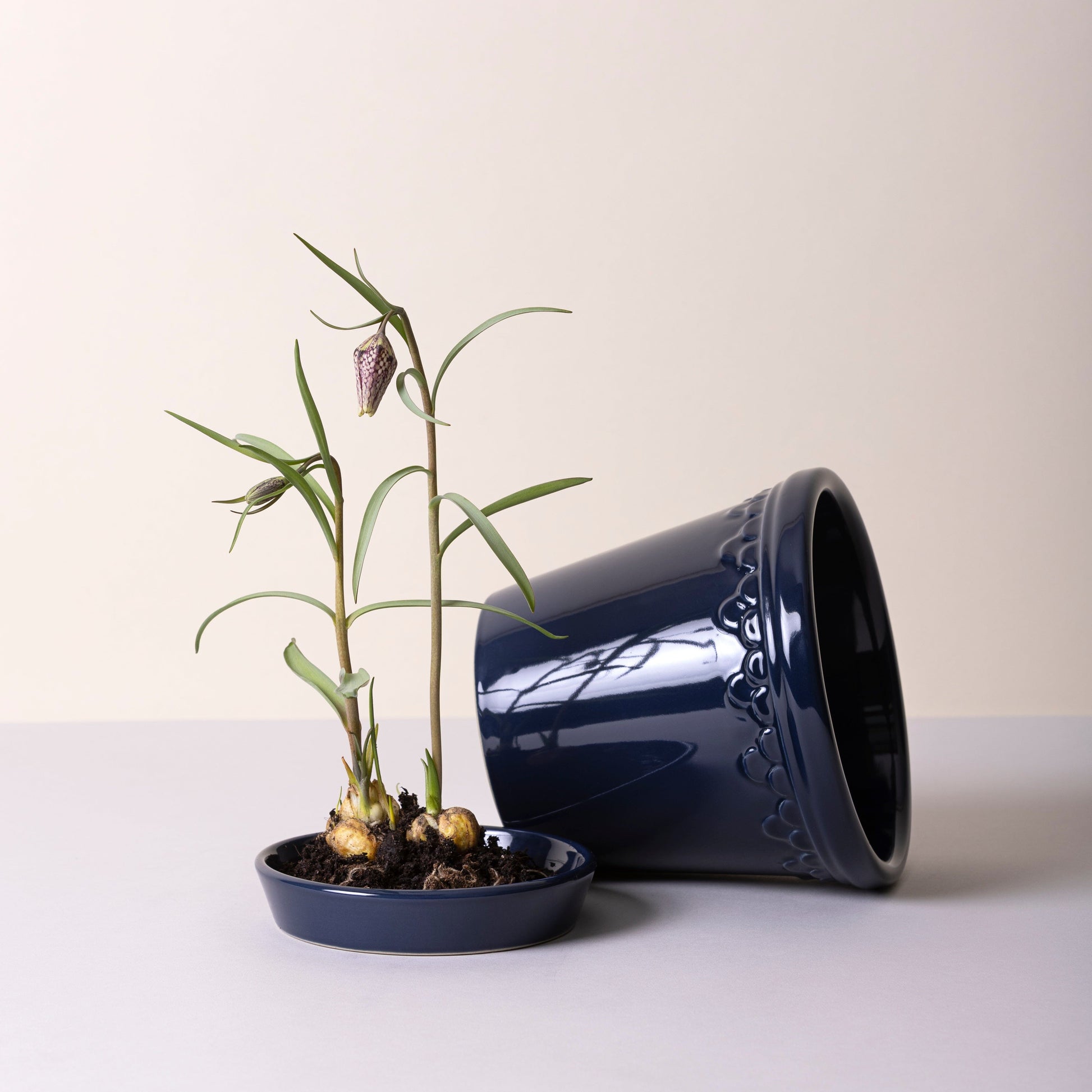 Kobenhavner Pot 16cm- Glazed Sapphire Blue Vases, Planters & Jars 