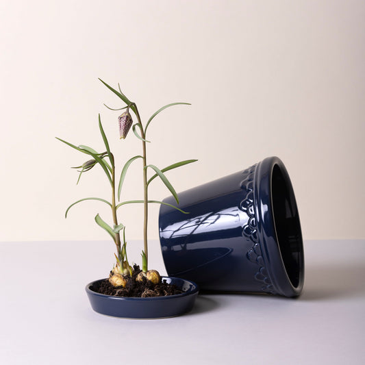 Kobenhavner Pot 16cm- Glazed Sapphire Blue Vases, Planters & Jars 