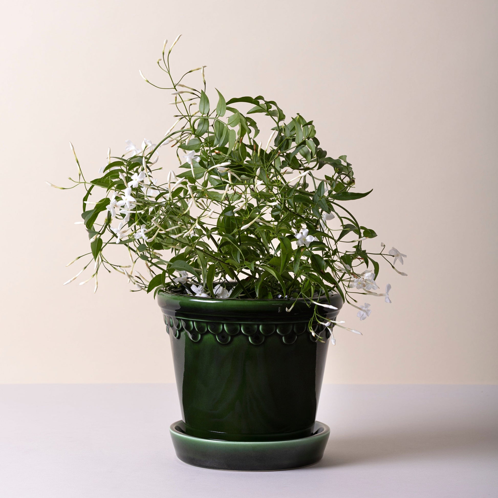 Kobenhavner Pot 18cm- Glazed Emerald Green Vases, Planters & Jars 