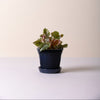 Kobenhavner Pot 21cm- Glazed Sapphire Blue Vases, Planters & Jars 