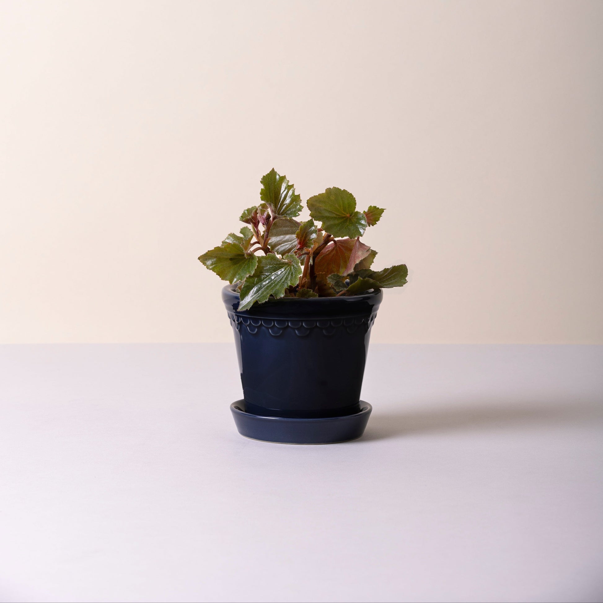 Kobenhavner Pot 21cm- Glazed Sapphire Blue Vases, Planters & Jars 