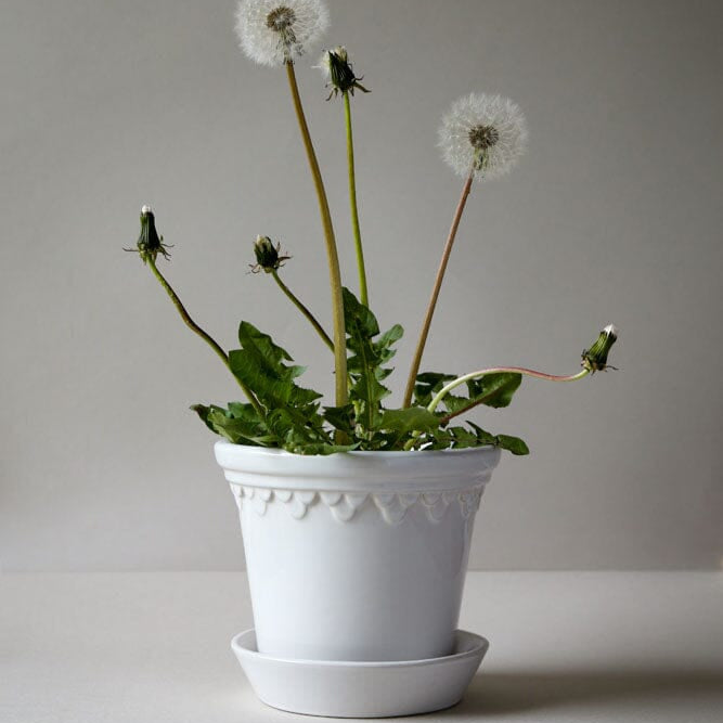 Kobenhavner- White Glazed Vases & Planters 