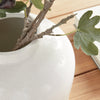 Leona Wide Vase Vases, Planters & Jars 