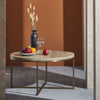 Liana Coffee Table Coffee Tables 