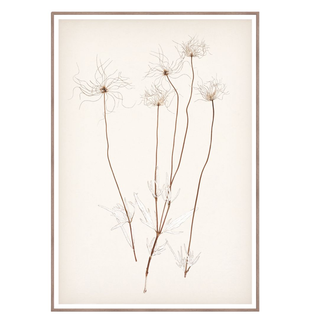 *Local Pick-Up* Botanical Umber III Framed Art 
