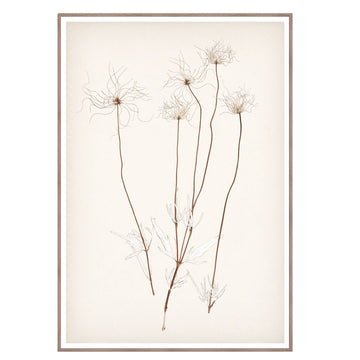 *Local Pick-Up* Botanical Umber III Framed Art 