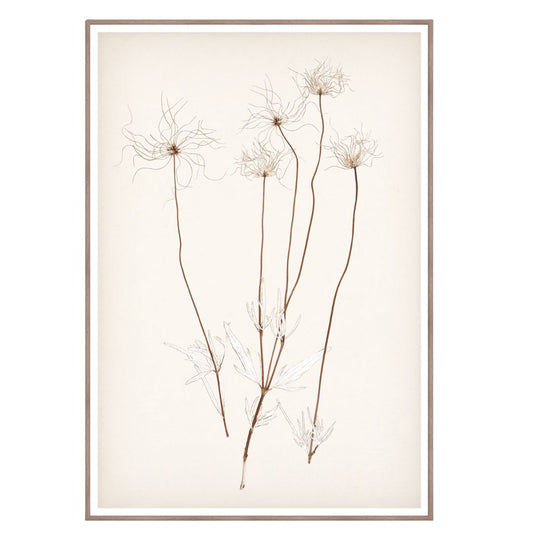 *Local Pick-Up* Botanical Umber III Framed Art 