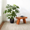 Loggia Natural Handwoven Wool Rug Rugs 