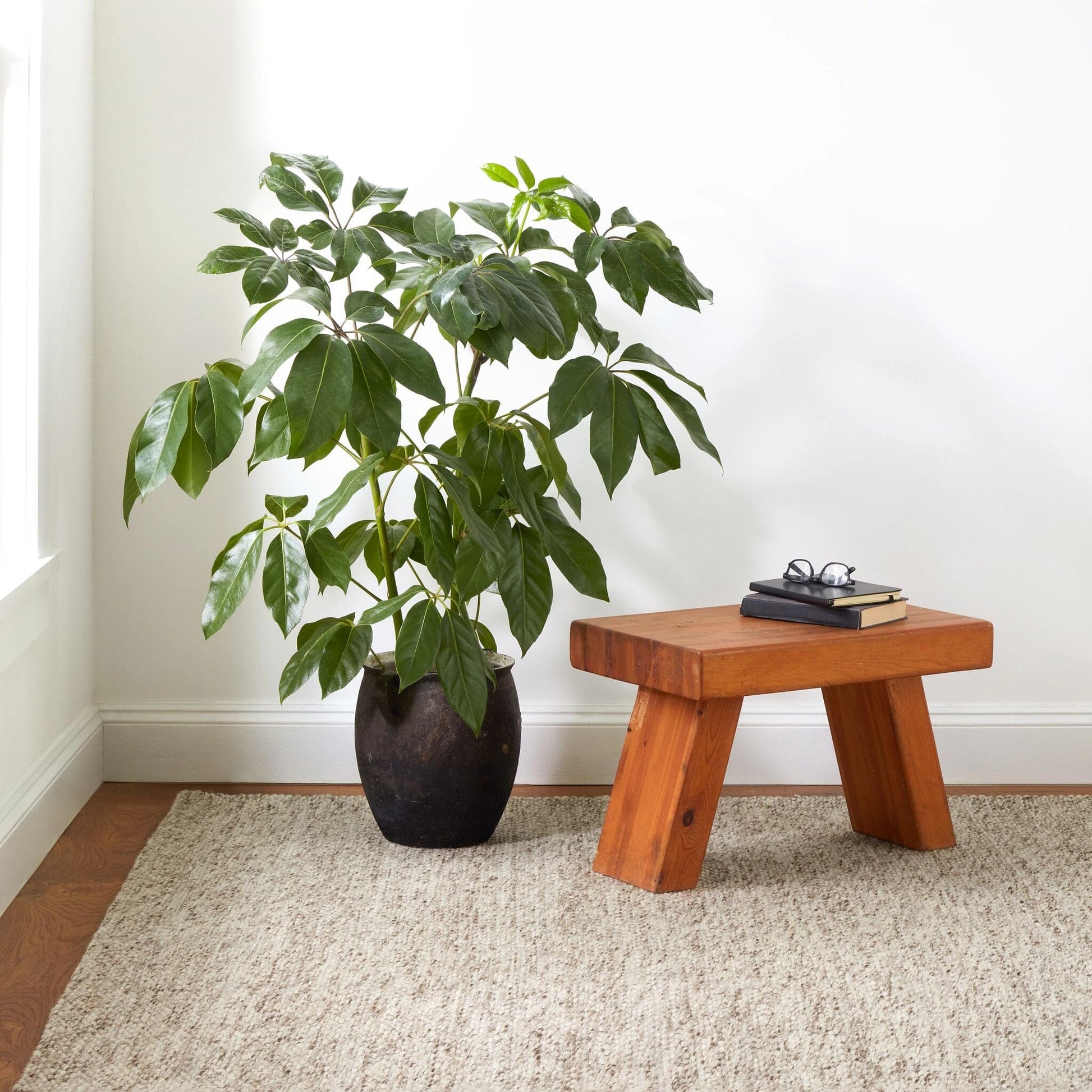Loggia Natural Handwoven Wool Rug Rugs 