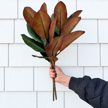 Magnolia Pick 21.5" Greenery 