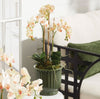 Makenna Pot - Green Decorative Accessories 