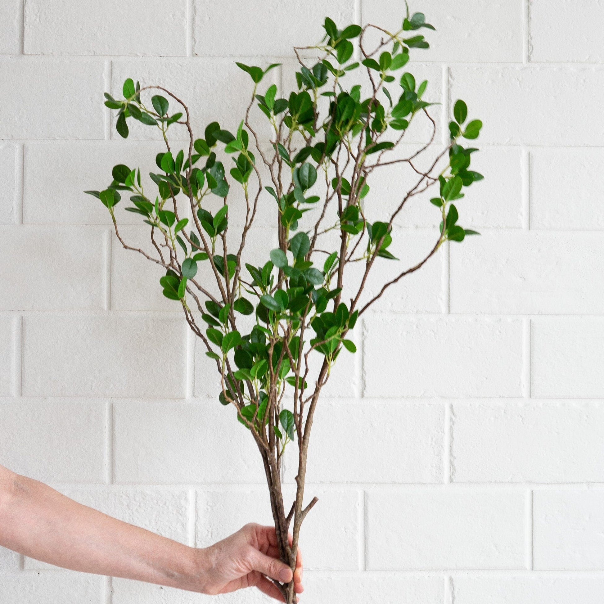Mini Ficus Leaf Spray Greenery 