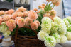 Mini Mum Spray- White Greenery 