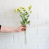 Mini Mum Spray- White Greenery 