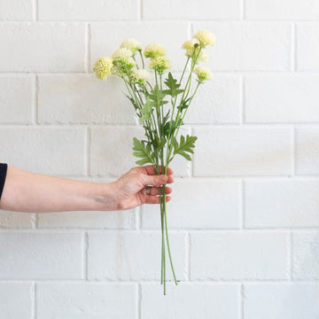 Mini Mum Spray- White Greenery 