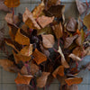 Mustard & Orange Silver Dollar Eucalyptus 38" Greenery 