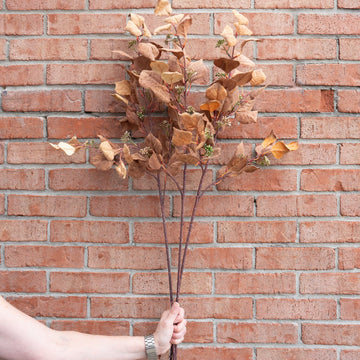 Mustard & Orange Silver Dollar Eucalyptus 38" Greenery 
