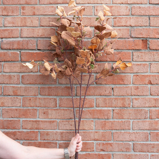 Mustard & Orange Silver Dollar Eucalyptus 38" Greenery 