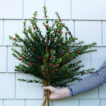 Myrtle Branch with Red Berries Greenery 