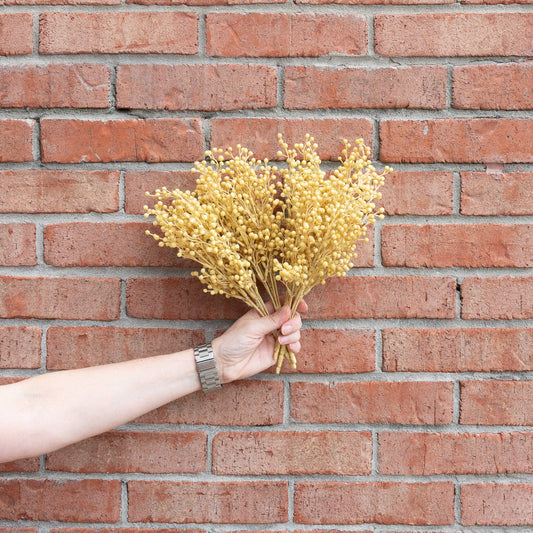 Natural Berry Bush 12" Greenery 