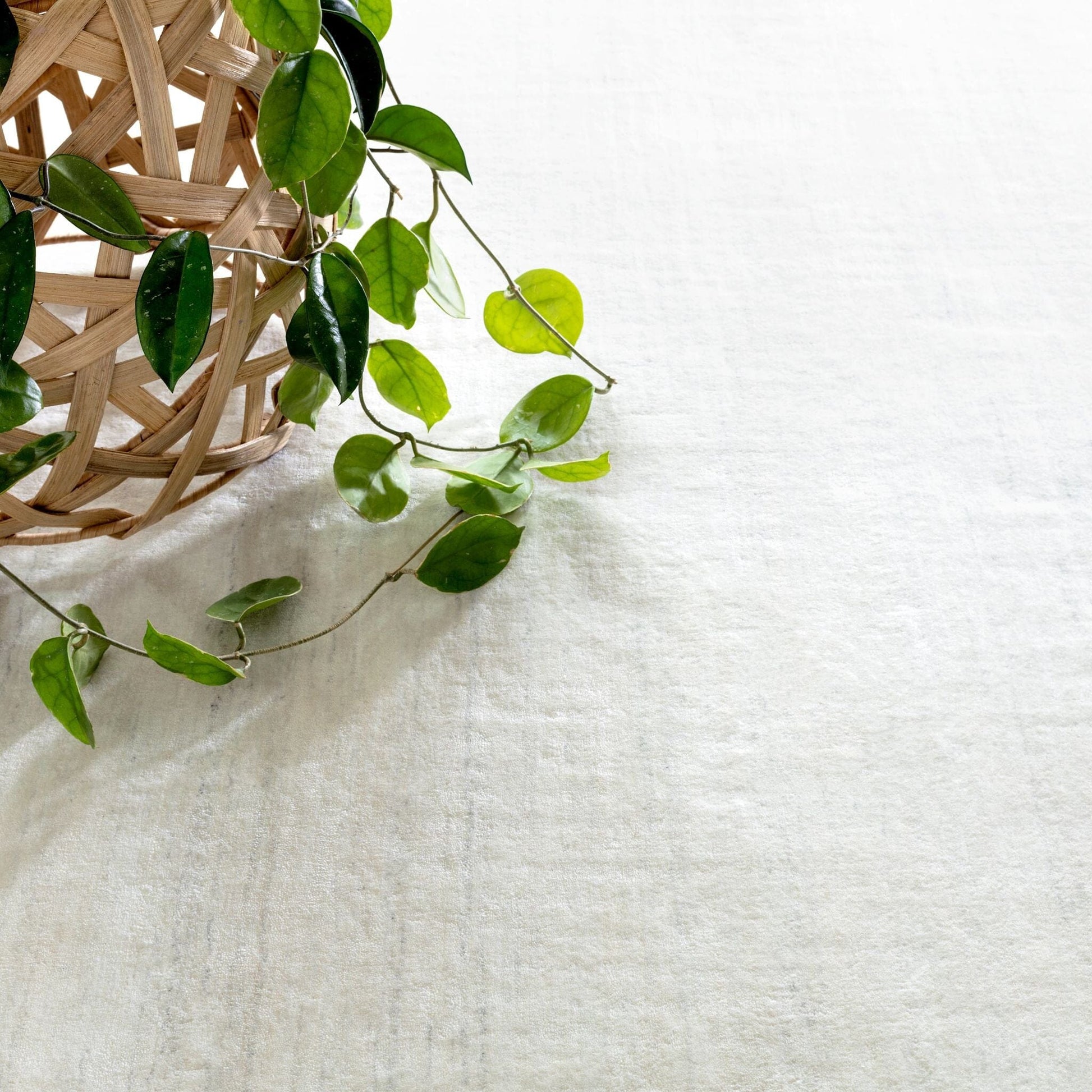 Nordic White Hand Loom Knotted Performance Rug Rugs 