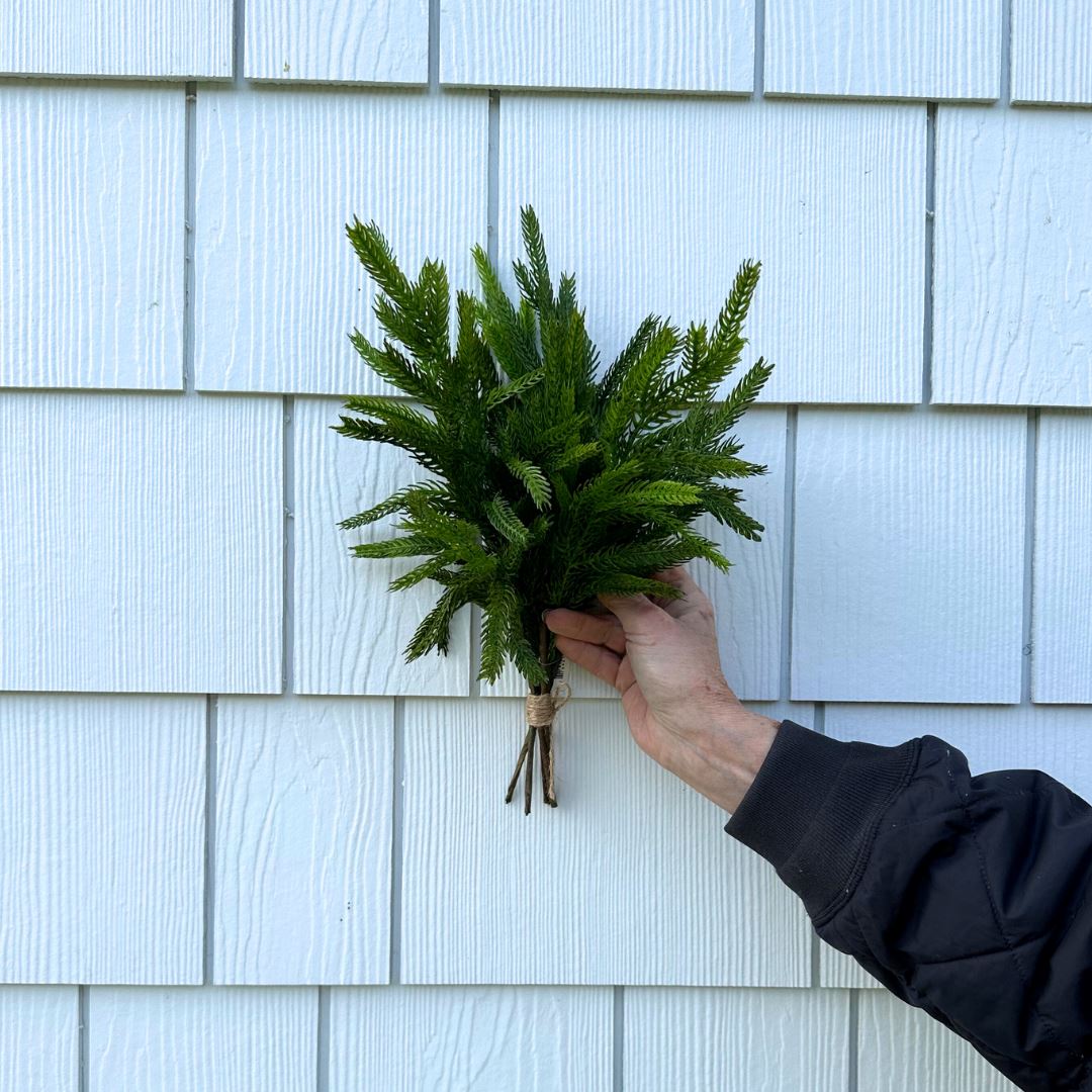 Norfolk Pine Pick 12" Greenery 