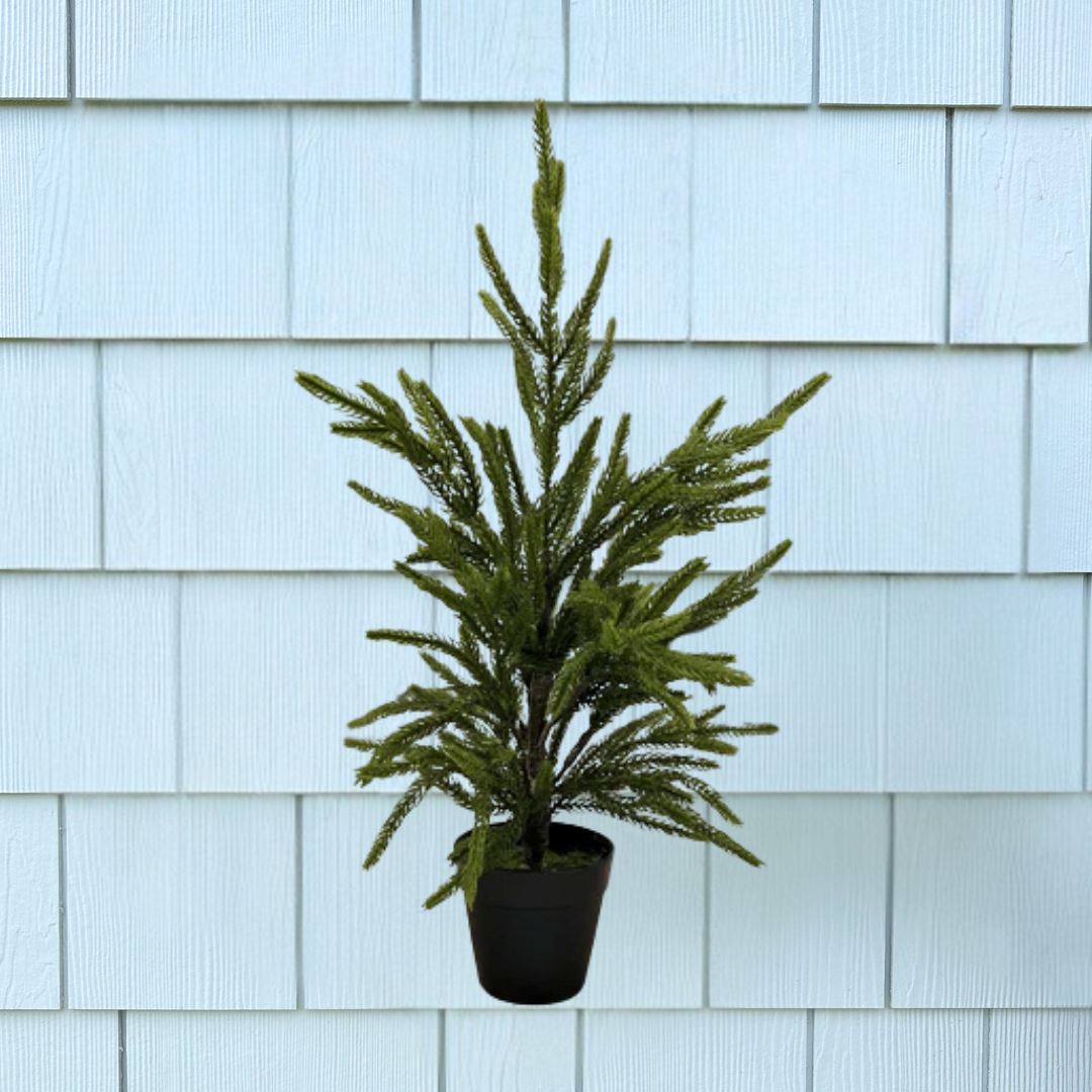 Norfolk Pine Tree 19" Greenery 