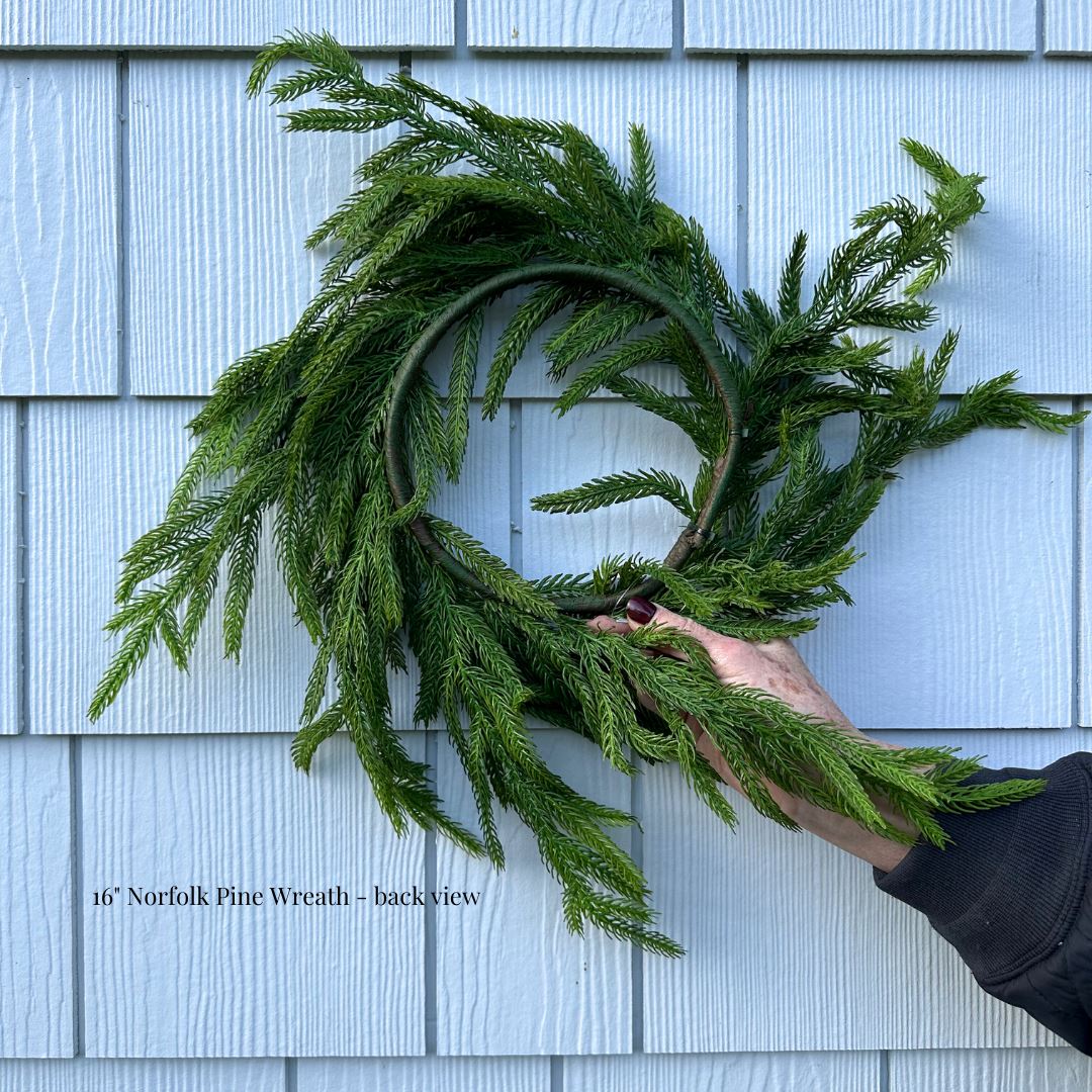 Norfolk Pine Wreath 16" Greenery 