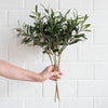 Olive Spray Greenery 