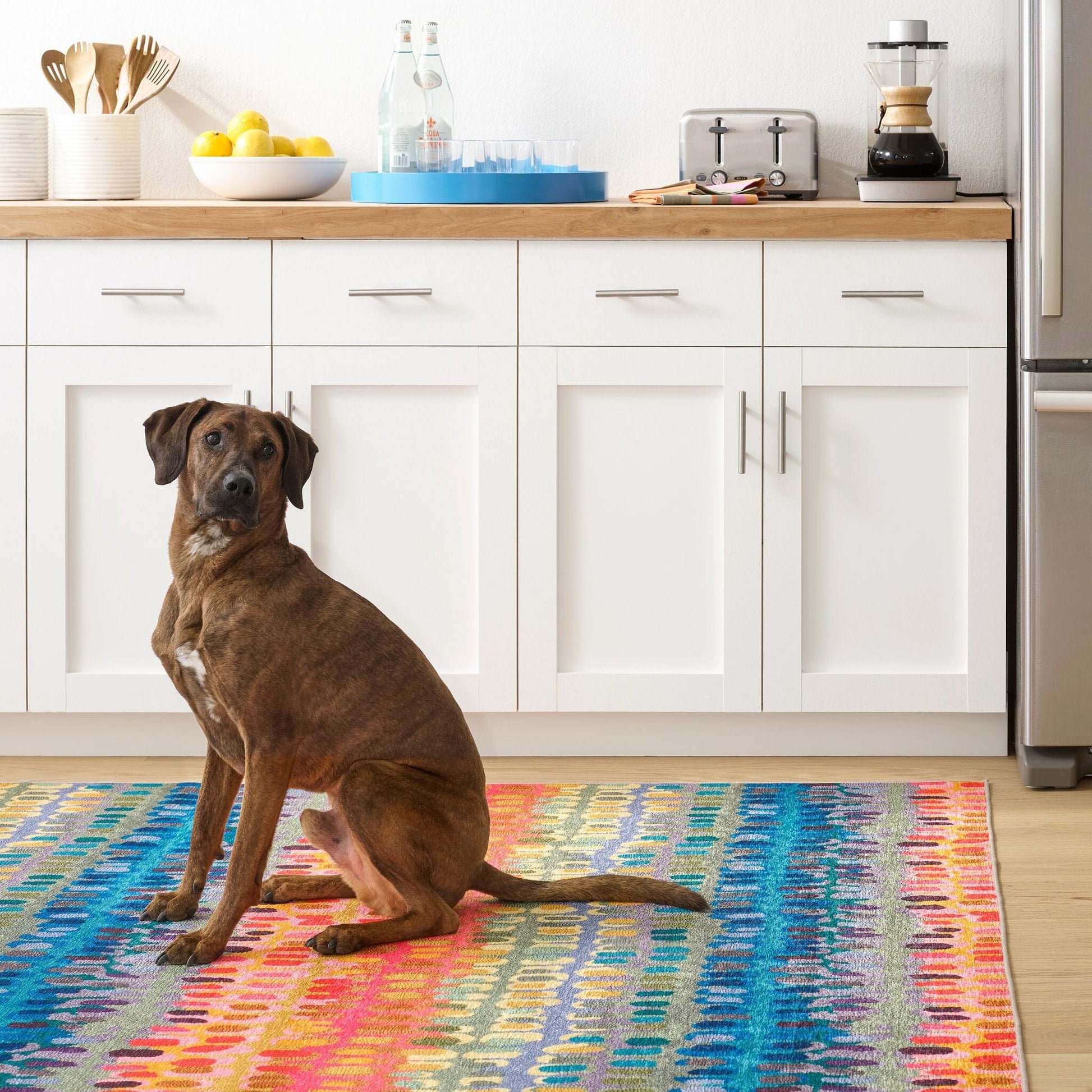 Paint Chip Multi Machine Washable Rug Rugs 