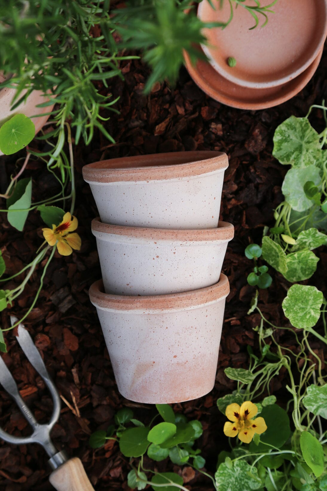 Parade Pot & Saucer - Rosa Vases, Planters & Jars 