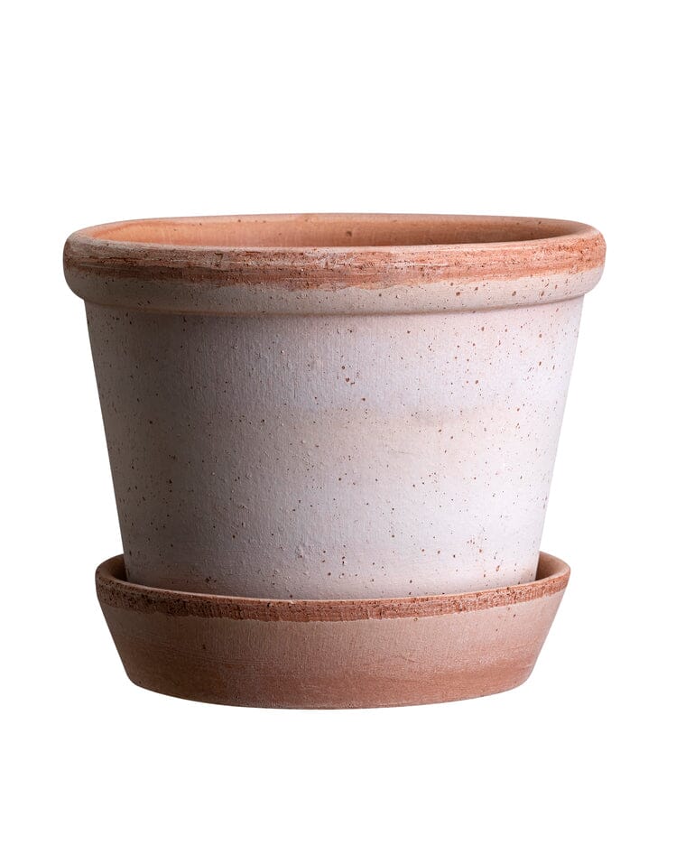 Parade Pot & Saucer - Rosa Vases, Planters & Jars 