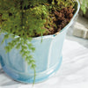 Penny Pot Vases, Planters & Jars 