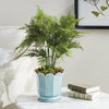Penny Pot Vases, Planters & Jars 
