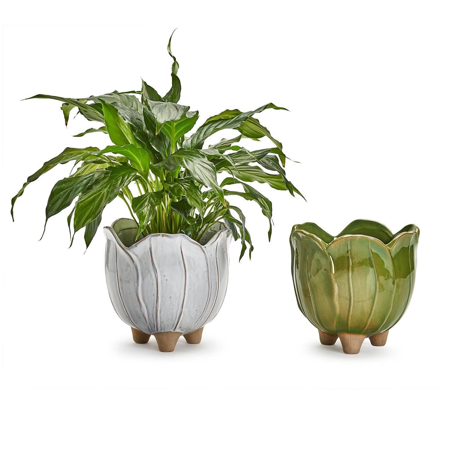 Petals Cachepot - White Vases, Planters & Jars 