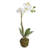 Phalaenopsis Orchid Drop-In 15" floral decor 