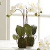 Phalaenopsis Orchid Drop-In 15" floral decor 