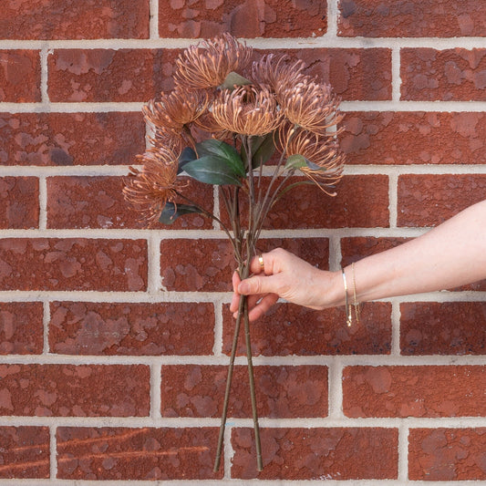 Pincushion Spray Brown 21" Greenery 
