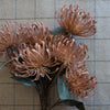 Pincushion Spray Brown 21" Greenery 
