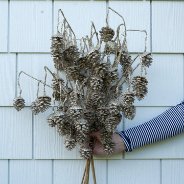 Pinecone Stem- 29" Objects & Accents 