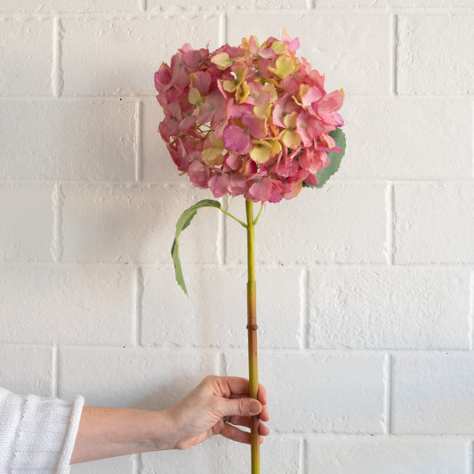 Pink/Yellow Hydrangea 32" Greenery 