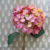 Pink/Yellow Hydrangea 32" Greenery 