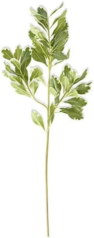 Pittosporum Leaf Stem 28" Greenery 