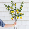 Pomegranate Bush 38" Greenery 