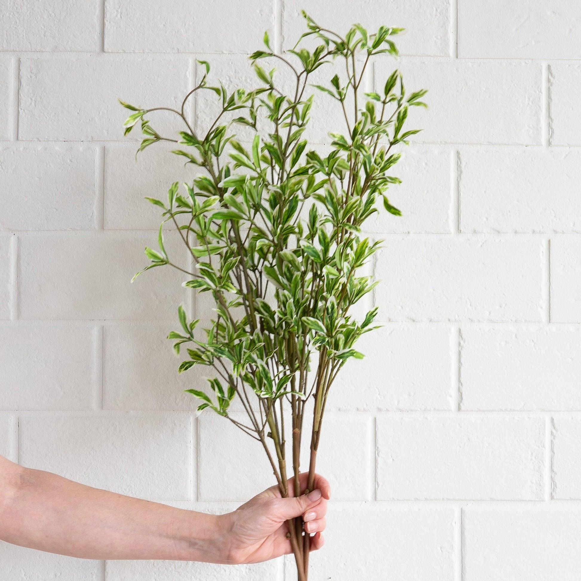 Pomegranate Leaf Spray Greenery 