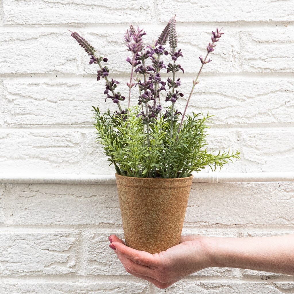 Potted Lavender 12.5" Greenery 
