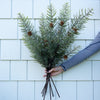 Powdered Long Pine Stem- 28" Greenery 