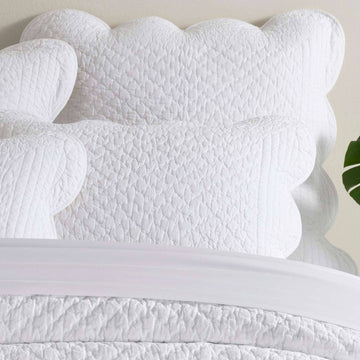 Power Shake Scallop White Quilted Sham Quilted Sham 