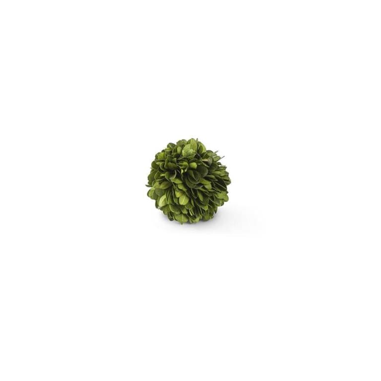 Preserved Boxwood Ball 2.5" Objects & Accents 