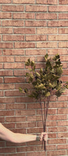 Dark Green Silver Dollar Eucalyptus Stem 38"